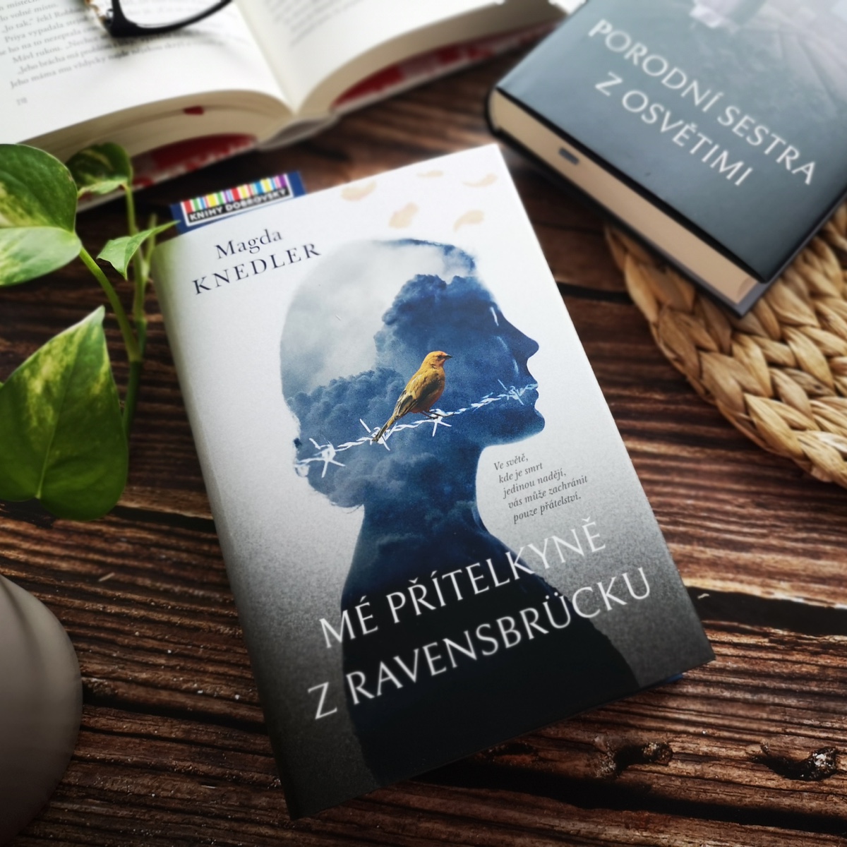 Mé přítelkyně z Ravensbrücku