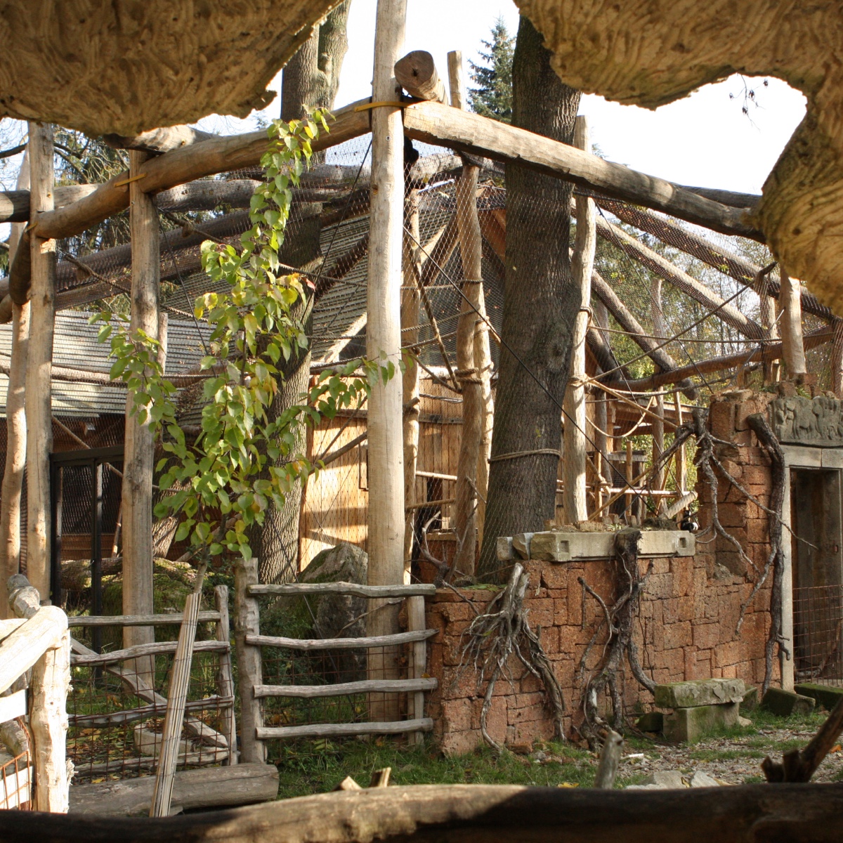 Asijský pavilon